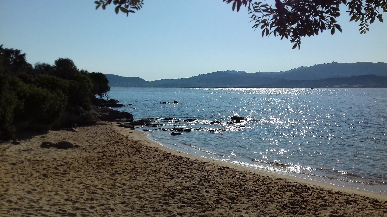 Da qualche parte a Nord Est